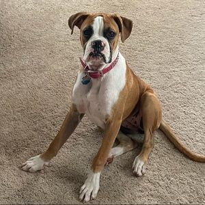 Meet your Posher, Robert